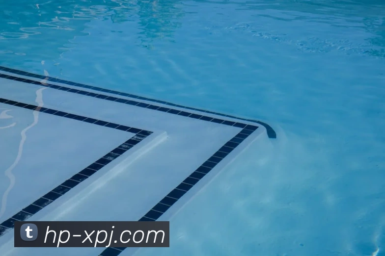 澳门新葡京娱乐APP 体育赛事宣传图